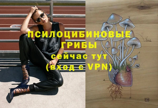 амф Медвежьегорск