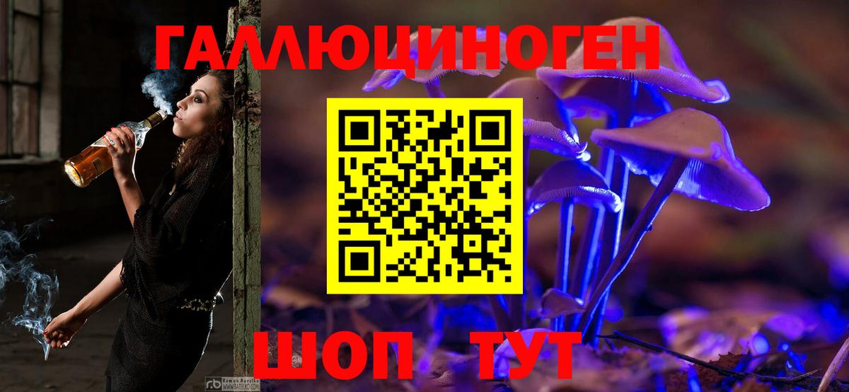 Галлюциногенные грибы Cubensis Грозный