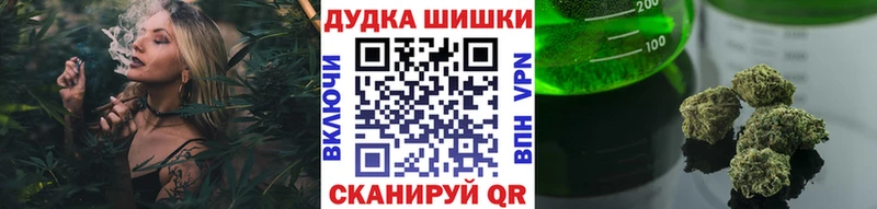 Купить  Грозный  Шишки марихуана семена 